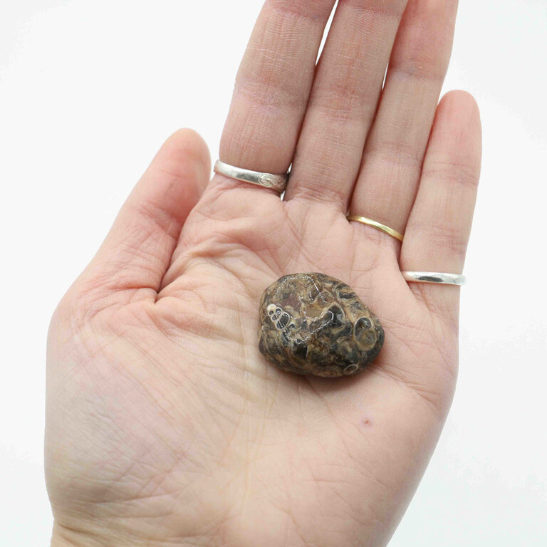 Agate Turitella