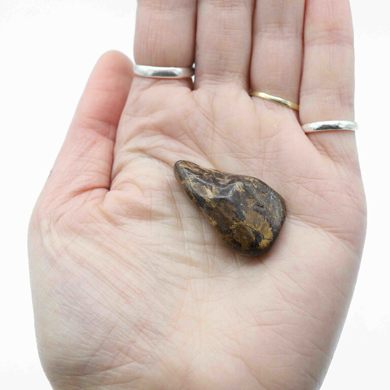 Bronzite