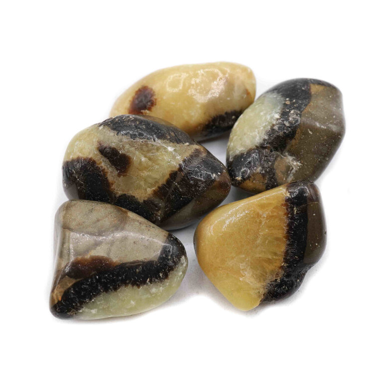Septaria