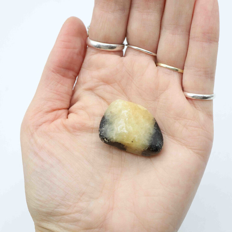 Septaria