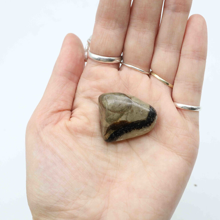 Septaria