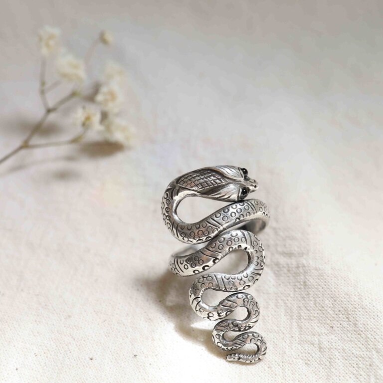 Silver Ring - Python