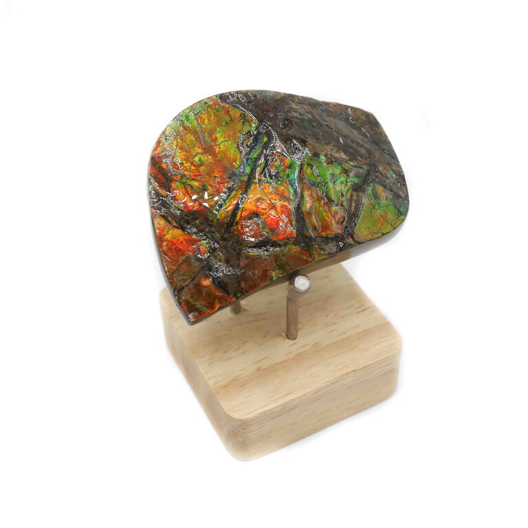 Ammolite