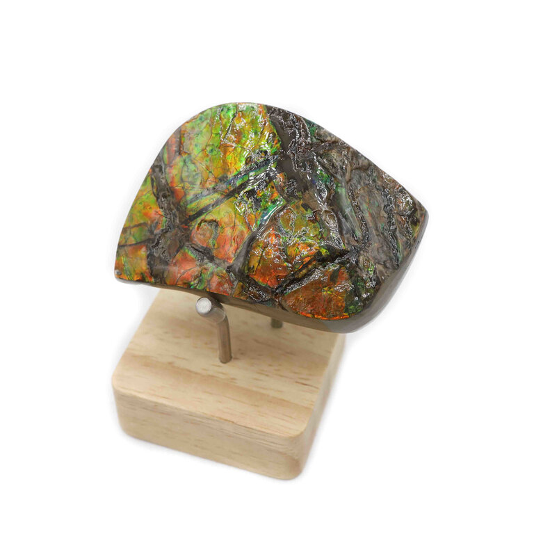Ammolite