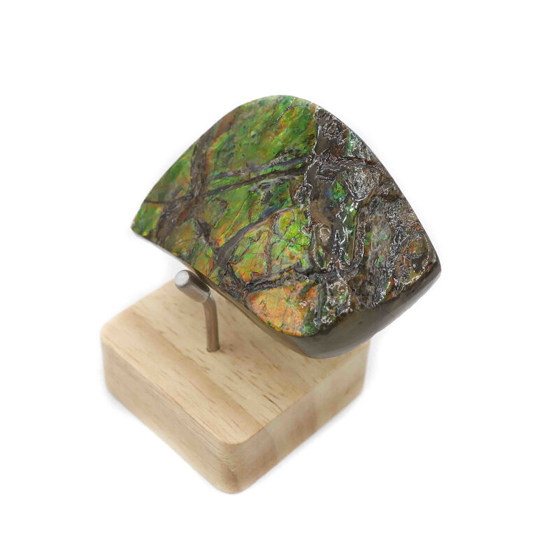 Ammolite