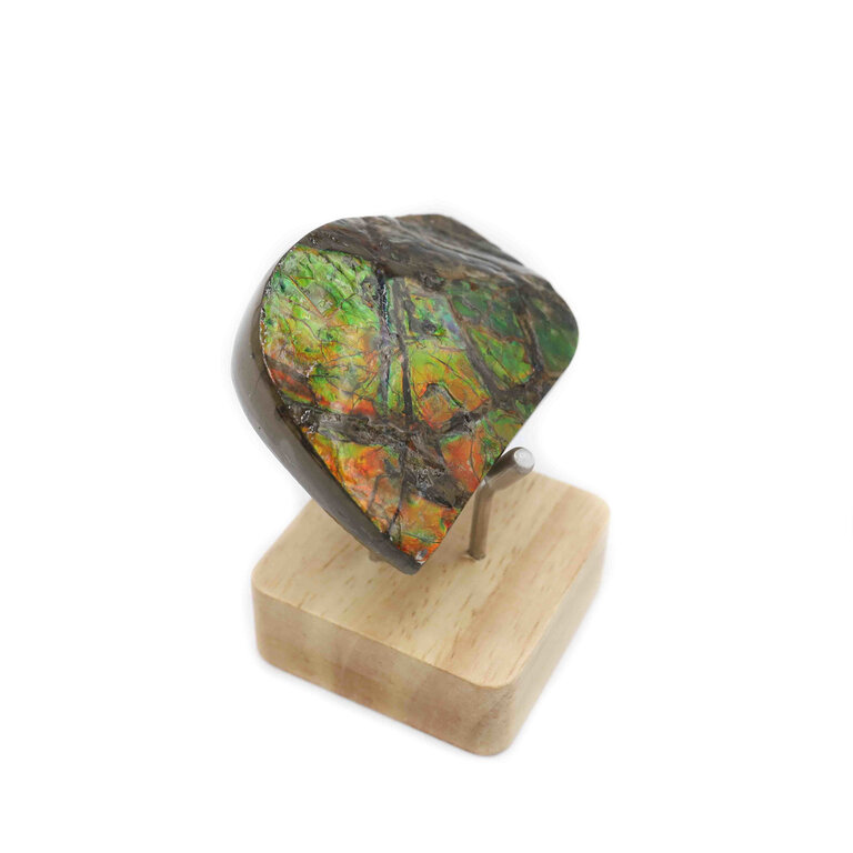 Ammolite