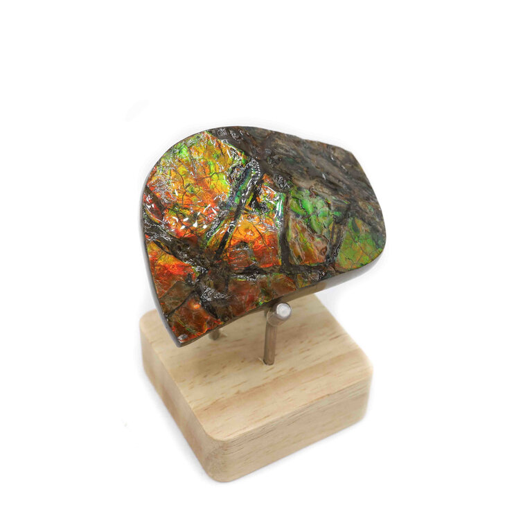 Ammolite