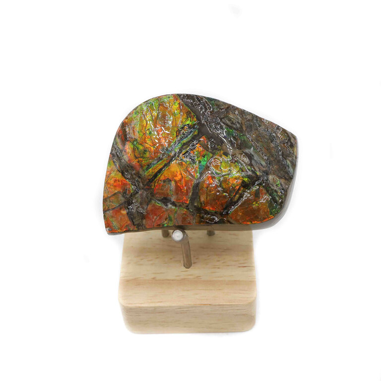 Ammolite