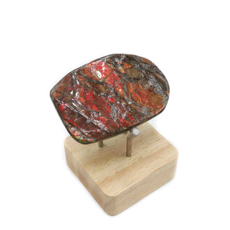 Ammolite