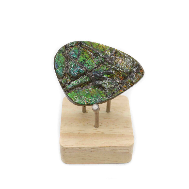 Ammolite