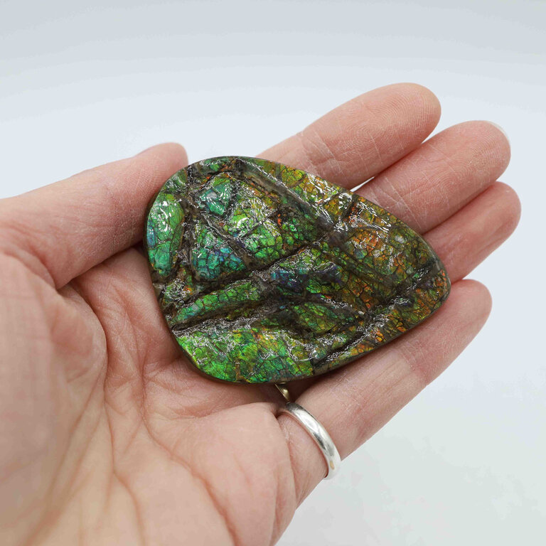 Ammolite