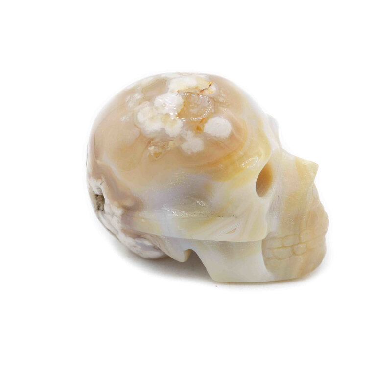 Flower agate - Skull
