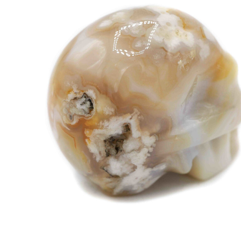 Agate fleur - Crâne