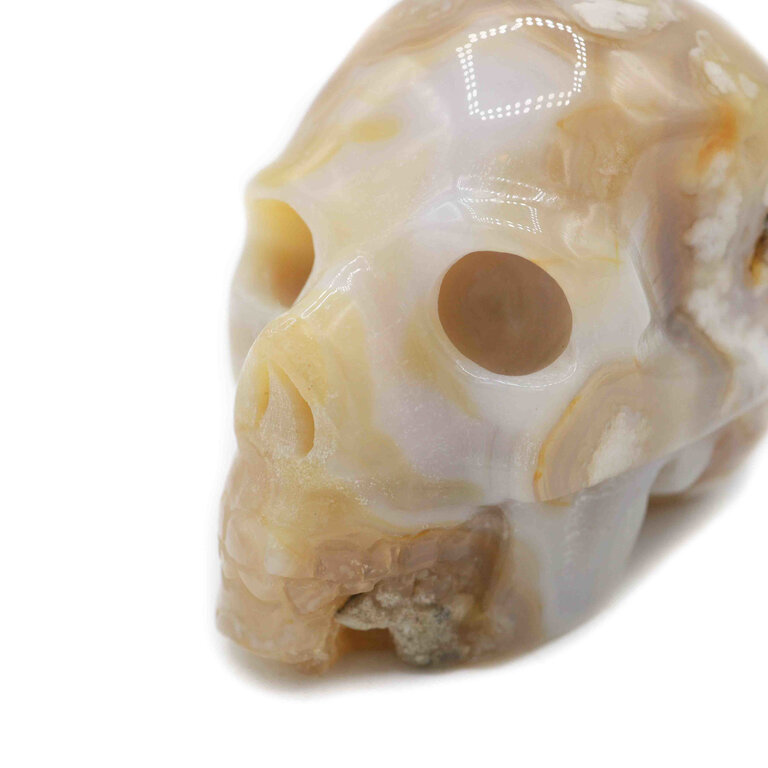 Flower agate - Skull