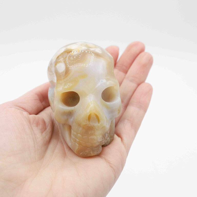 Agate fleur - Crâne