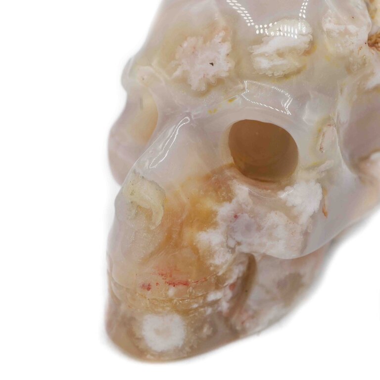 Agate fleur - Crâne
