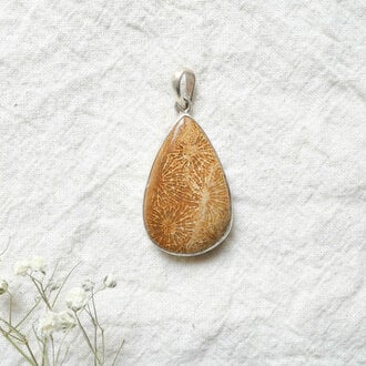 Fossilized Coral Pendant - Goutte