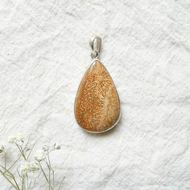 Pendentif Corail Fossilisé - Goutte