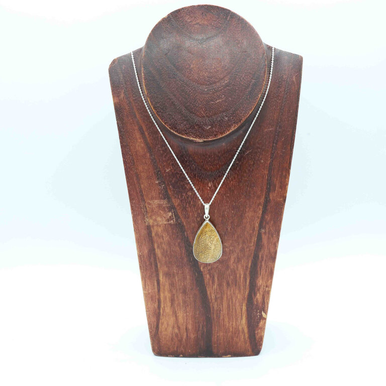 Pendentif Corail Fossilisé - Goutte