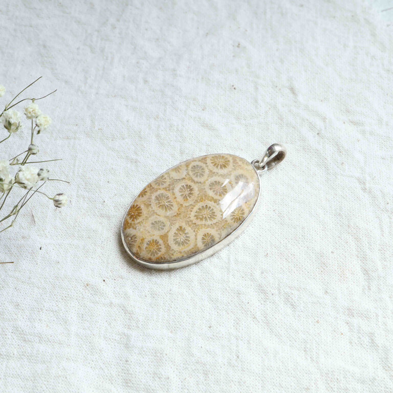 Fossilized Coral Pendant - Ovale