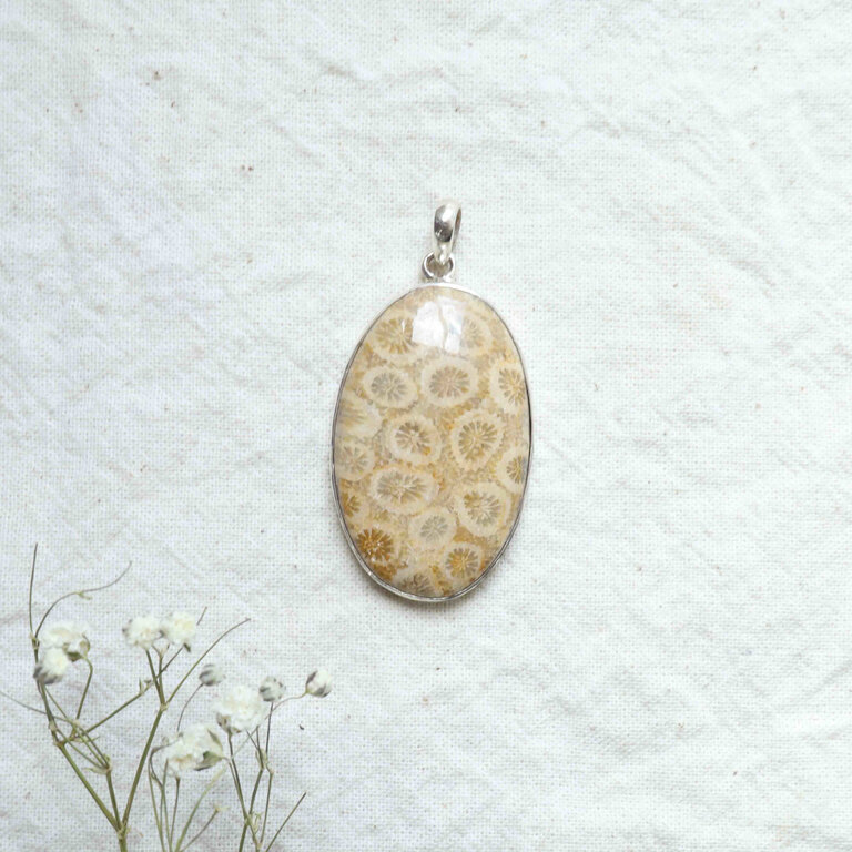 Fossilized Coral Pendant - Ovale