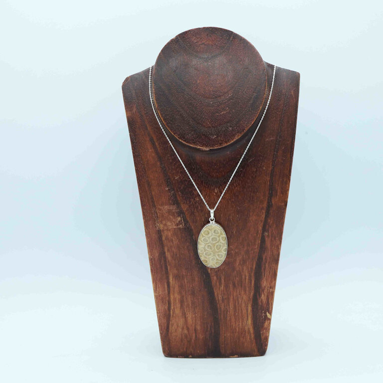 Fossilized Coral Pendant - Ovale