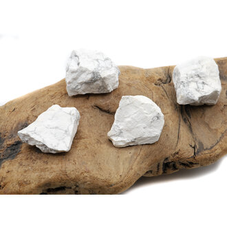 Rough Howlite