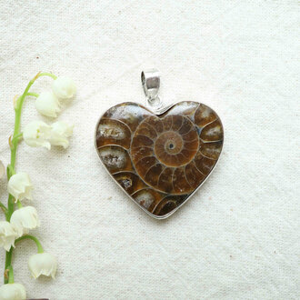 Ammonite Pendant - Coeur