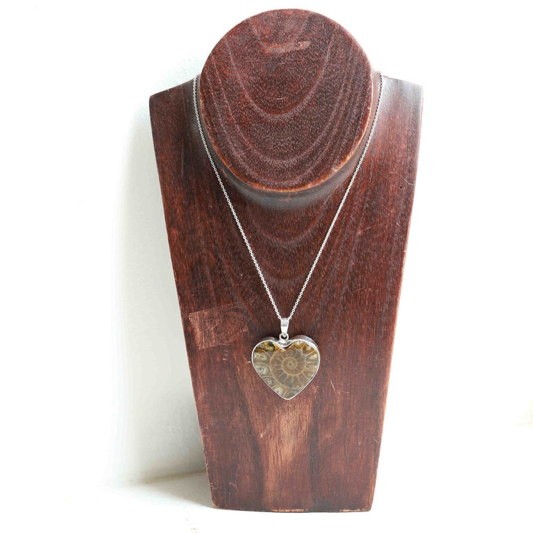 Ammonite Pendant - Coeur