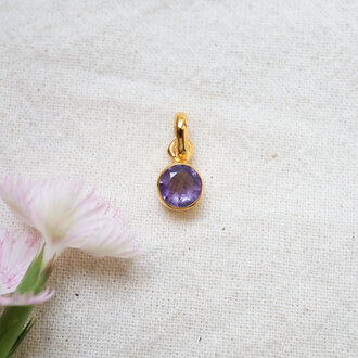 Amethyst Pendant - Gold plated