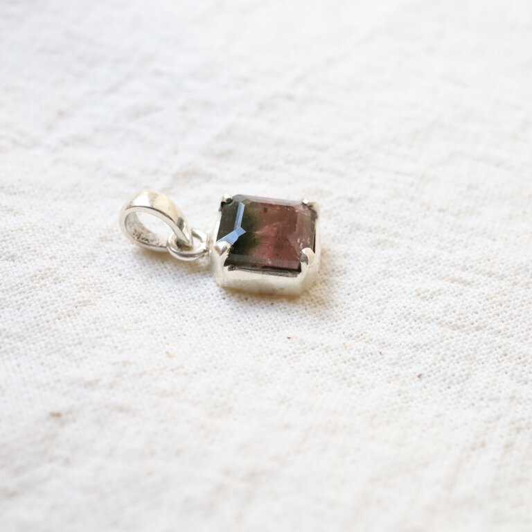 Bicolor Tourmaline Pendant - Douceur