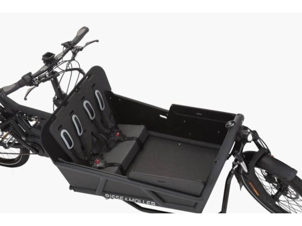 riese & müller load 75 touring