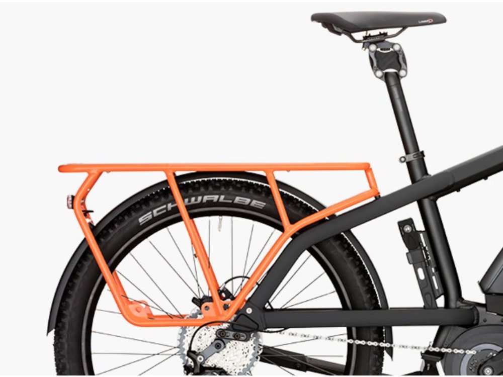 riese and muller multi charger