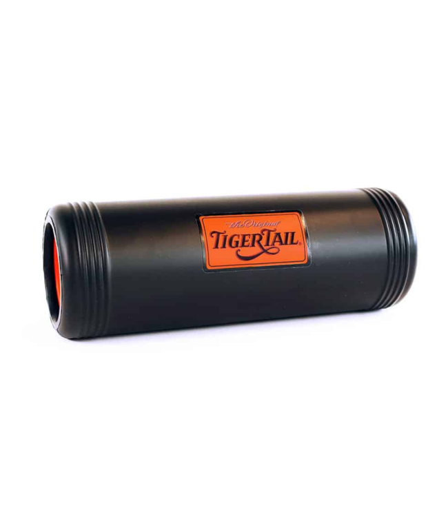 The Big One Foam Roller