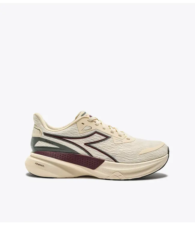 Diadora Men's Nucleo 2