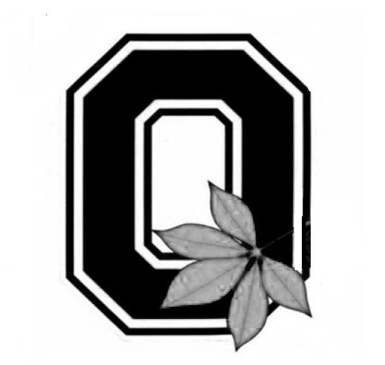 BLOCK “O” WITH BUCKEYE LEAF - Kicks Mix Bookstore