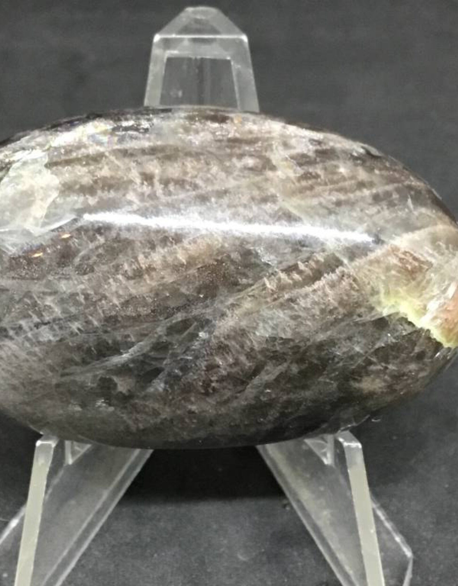 Black Moonstone Palm Stone