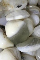 White Opal Agate tumbled stone