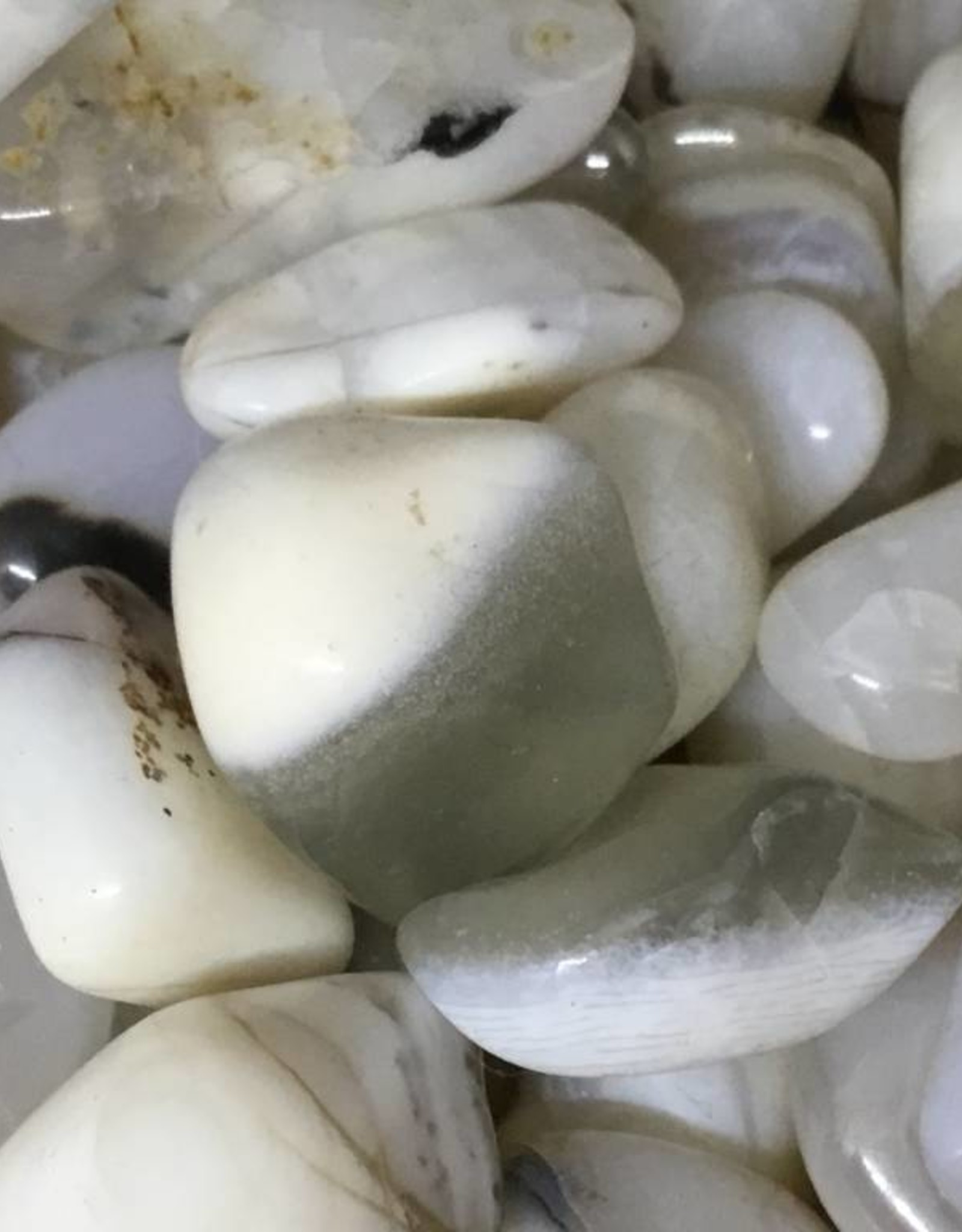 White Opal Agate tumbled stone