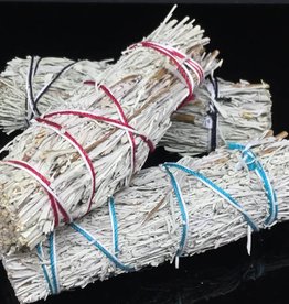Small Desert Sage Wands - BC Wild Ashcroft BC