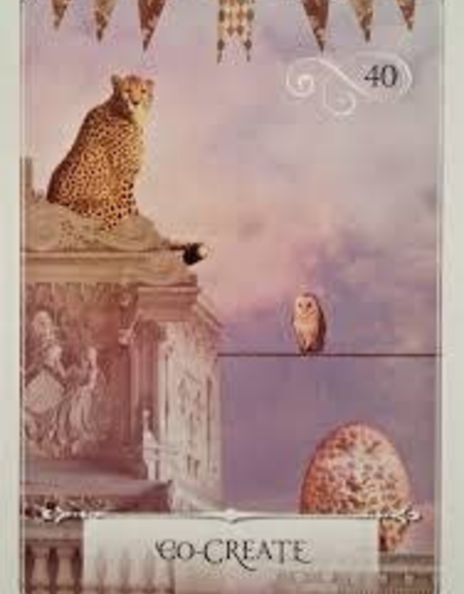 Wisdom of the Oracle