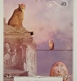 Wisdom of the Oracle