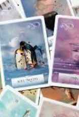 Wisdom of the Oracle