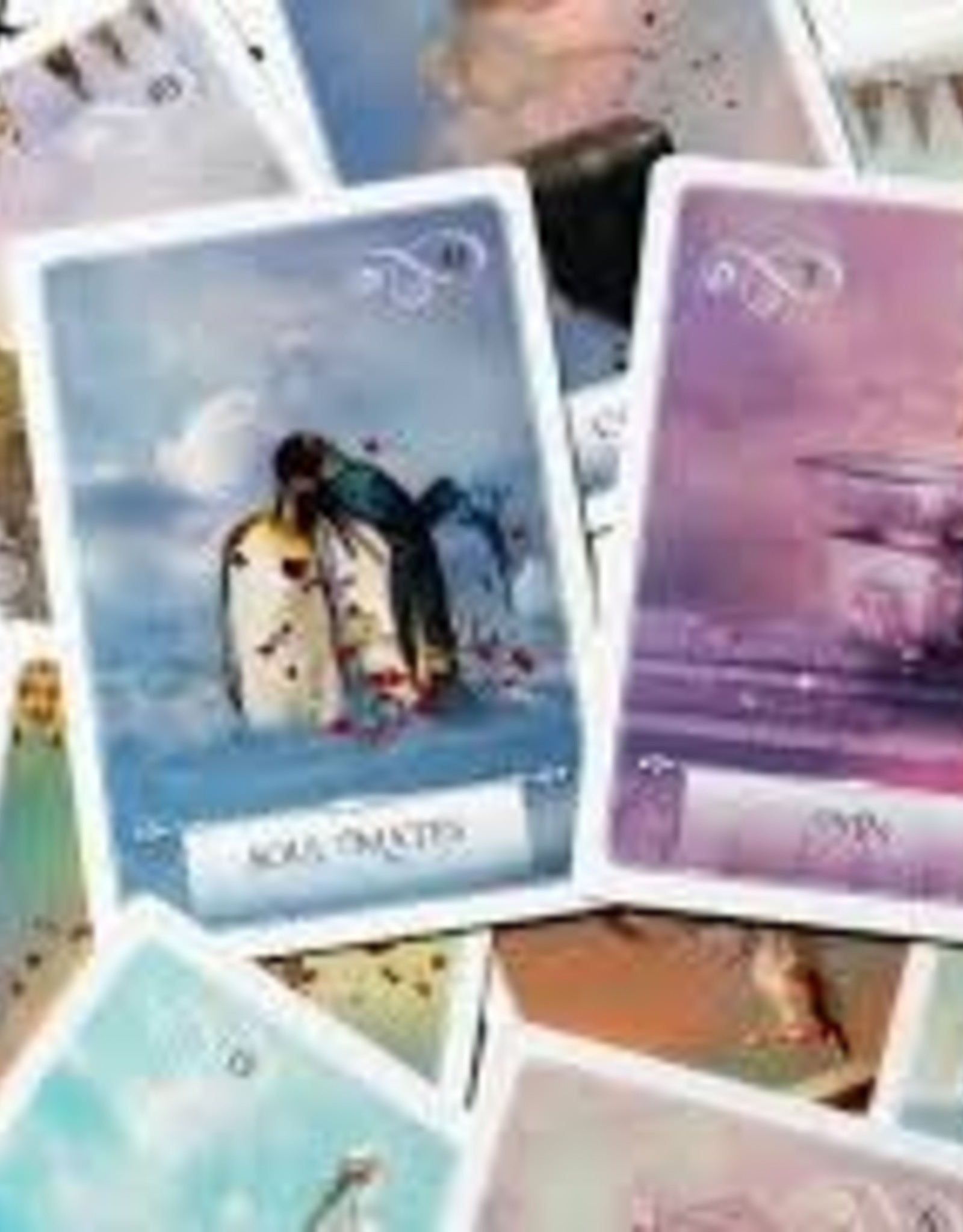 Wisdom of the Oracle