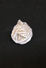 Desert Rose Tumbled Stone - Smaller