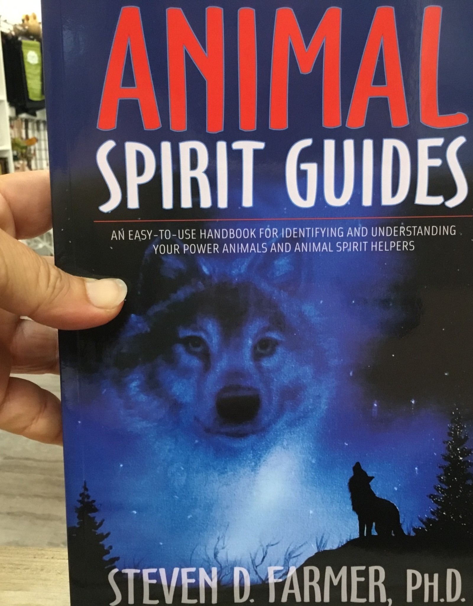 Animal Spirit Guides