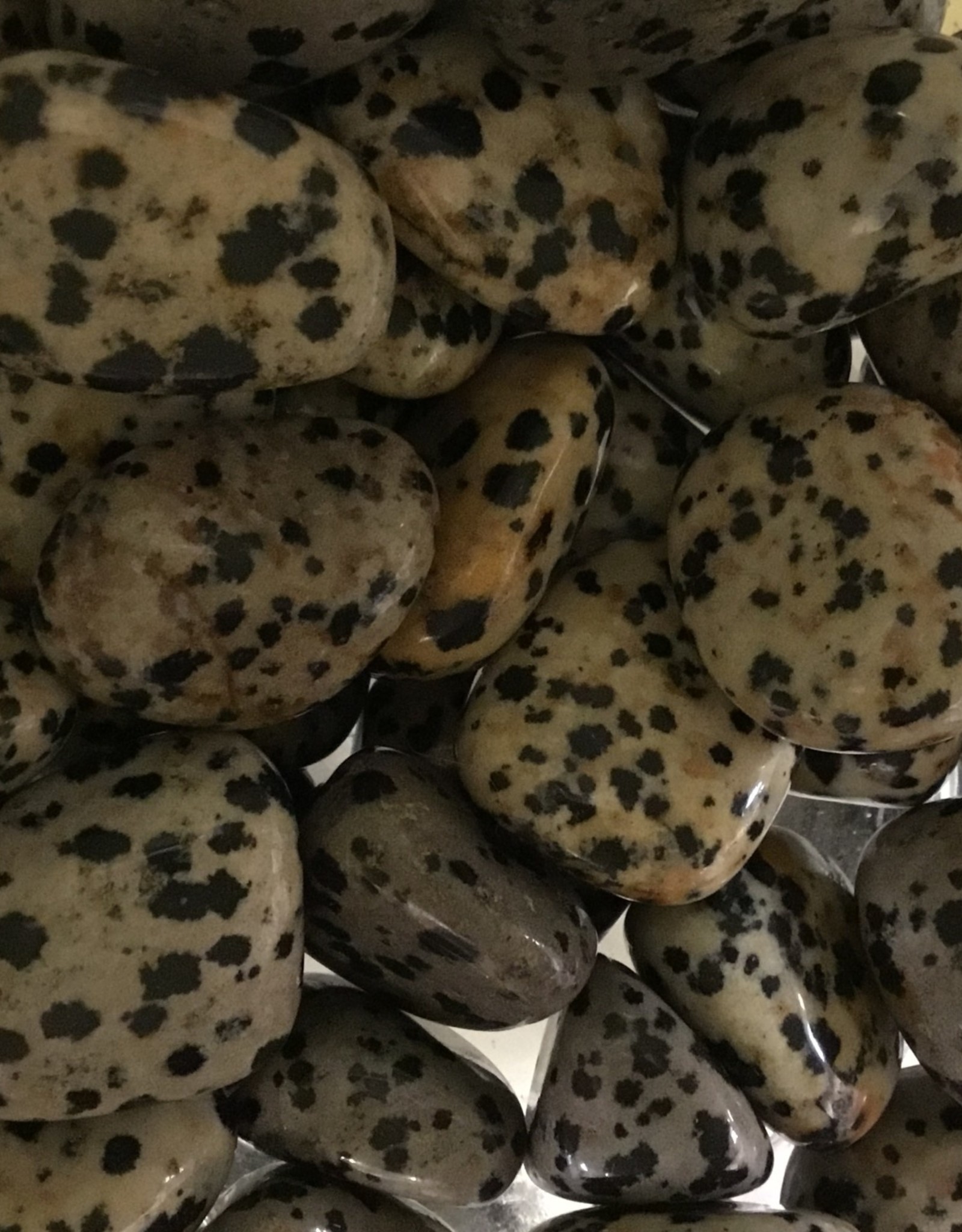 Green Dalmatian Jasper Tumbled Stone Soulstar Metaphysics