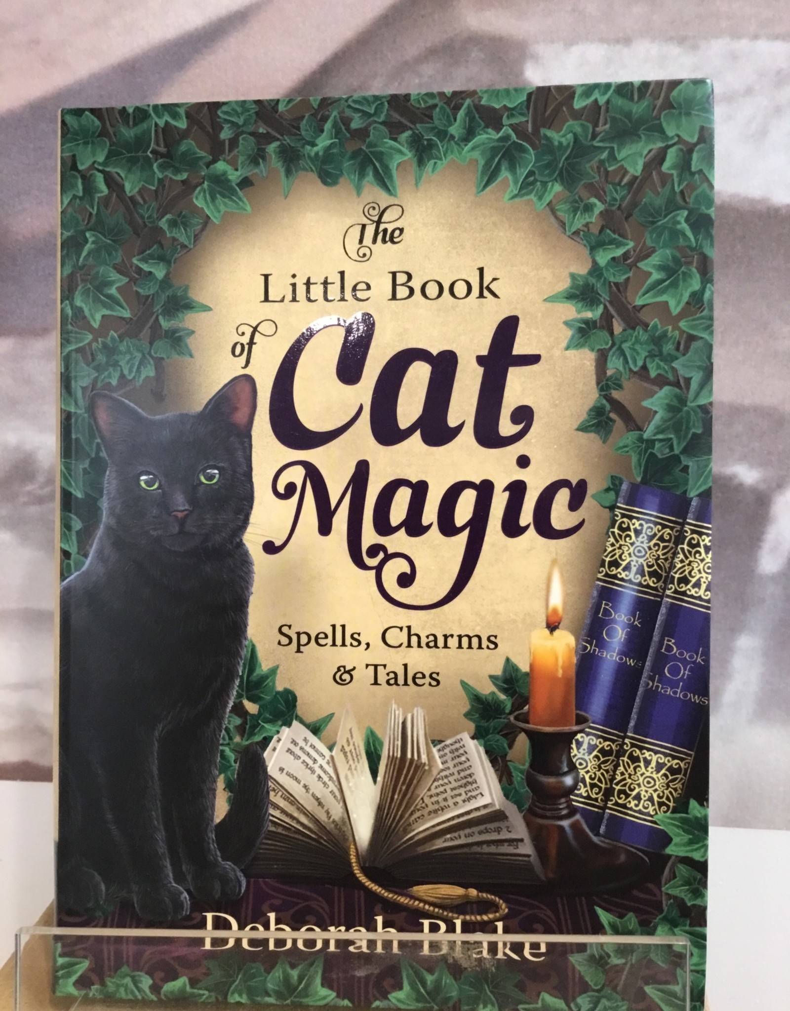 Little Book of Cat Magic