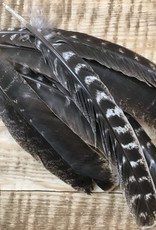 Plain Smudge Feather
