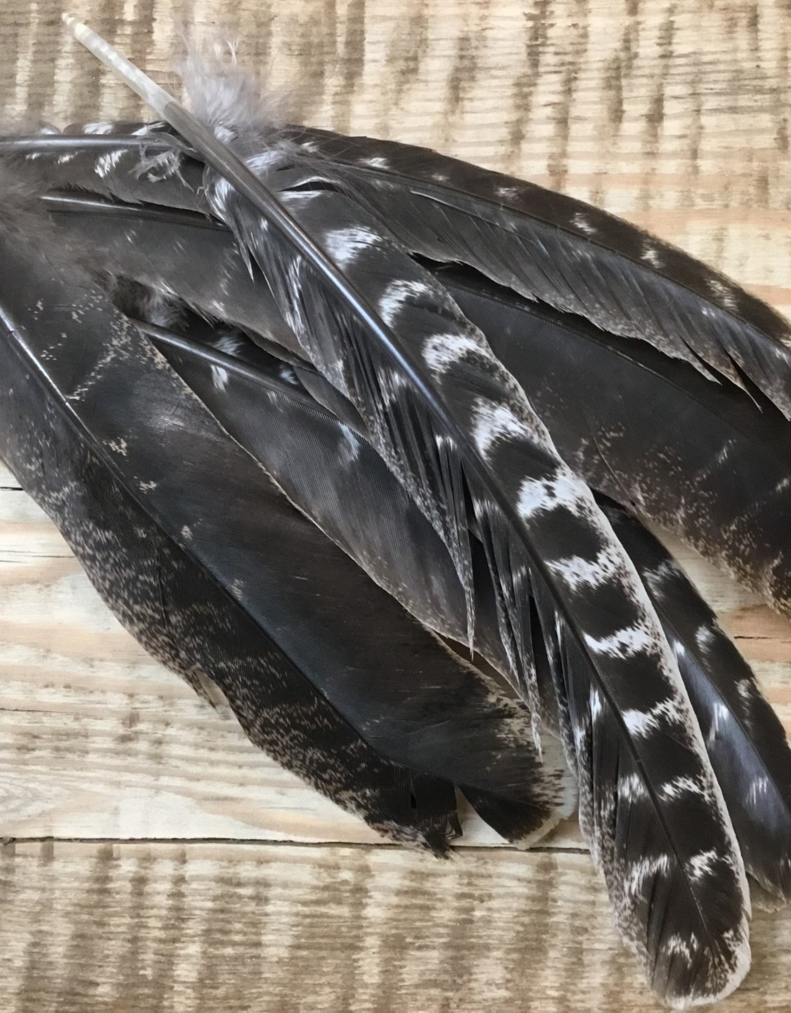 Plain Smudge Feather